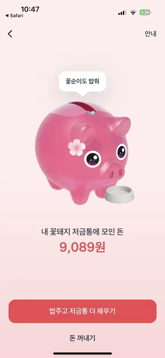 꽃돼지 보내주신 만큼 보내드려요